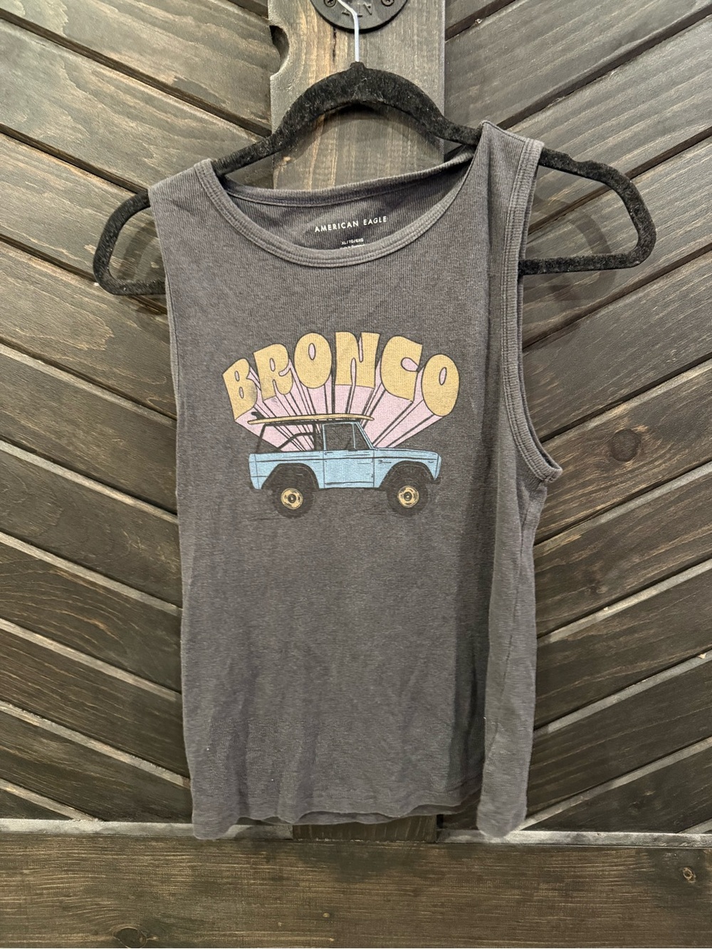 American Eagle Outfitters Charcoal Tank with Retro Bronco Graphic, ONLY TRIED ON